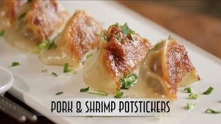 Pork amp Shrimp Potstickers with Dipping Sauce [upl. by Nhaj318]