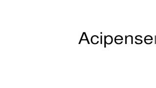 How to pronounce Acipenseridae [upl. by Astor]