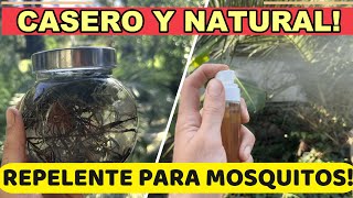 Adiós MOSQUITOS 🦟 Repelente Casero Natural Con Plantas [upl. by Najar]