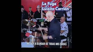 La Fuga  Luisito Carrión [upl. by Ezarras]