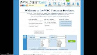 WSO Company Database [upl. by Eyahs]