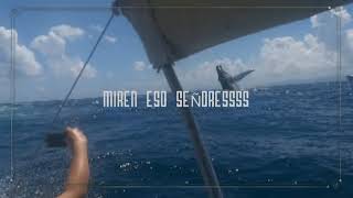 La adrenalina de ver las ballenas jorobadas en Samaná [upl. by Brodsky]