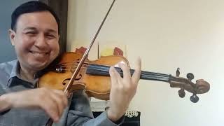 Tutorial The Gadfly Schostakowitsch [upl. by Enaenaj]