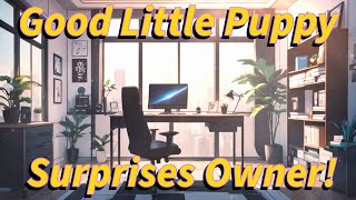 ASMR Obedient Puppy Surprises Their Owner Dom M4F Petplay BFE [upl. by Ultan]