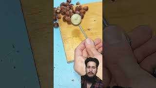 This is genius DIY nut cracker for peeling hazelnuts shorts diy tipslifehack [upl. by Puduns458]