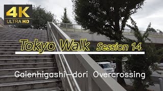 4K60fps Tokyo 23 Walk quotSession 14  Gaienhigashidori Overcrossingquot 外苑東通り歩道橋 [upl. by Repsihw]