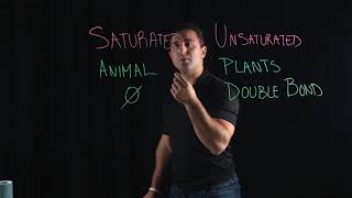 Saturated vs Unsaturated Fatty Acids [upl. by Darbee440]