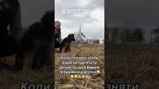 Щоб зняти повне відео завжди було купа експромтів 😆😆😆 [upl. by Eural]