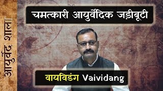 Vaividang ke fayde  vidanga ke fayde  Embelia ribes benefits  Ayurved shala [upl. by Ecinnahs946]