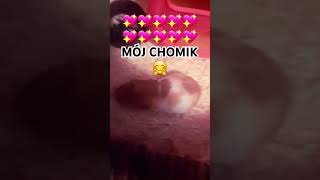 MÓJ CHOMIK🤗💖💖💖💖 [upl. by Georgine]