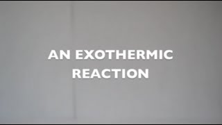 An Exothermic Reaction Potassium Permanganate  Glycerin [upl. by Lunnete390]