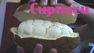 Cupuacu Review  Weird Fruit Explorer Ep 210 [upl. by Vidovic412]