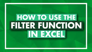 How to Use the FILTER Function in Excel  Excel FILTER Tutorial [upl. by Iphagenia]