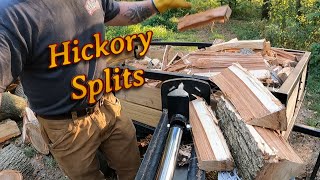 Hickory Split [upl. by Kippy]