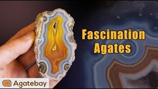 What makes collecting agates fascinating😁 Agates explained by Josh  4K [upl. by Odyssey]