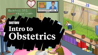 Introduction to Obstetrics with Sketchy Medical Visual Learning [upl. by Aysan]