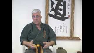 Explanation of Okinawan Karate Belt Colors Black red white and more [upl. by Novyad]