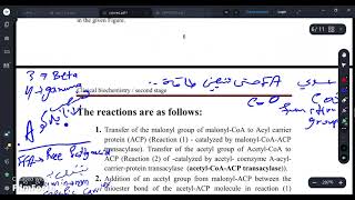 fatty acis synthysis part 3 [upl. by Alracal]