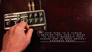 Getting to know the Boss RE202 Space Echo Delay amp Reverb [upl. by Ute]