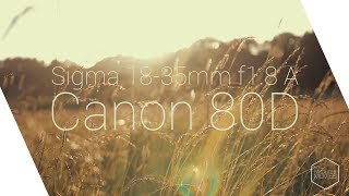 Sigma 1835 18 Art Canon 80D Testvideo [upl. by Zobkiw]