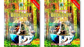 Synthesis amp Breakdown of Macromolecules Polymers  Sindh Textbook Board New Biology Chapter 1 [upl. by Doti616]