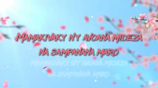 Mahery aho  Jasonia Damble Tarika Lyrics video [upl. by Notanhoj]