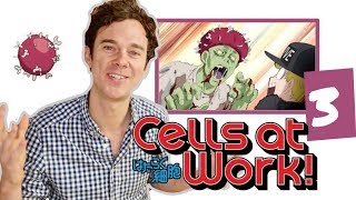 Real DOCTOR reacts to CELLS AT WORK  Episode 3  quotInfluenzaquot [upl. by Acirrehs]