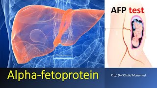 Alpha fetoprotein test AFP made easy [upl. by Aerda]