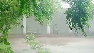 Rain in Rajanpur 21082024 [upl. by Alleroif]