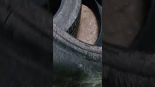 Tyres Sale secondhand tyre Size 195 65 r16 [upl. by Photima]