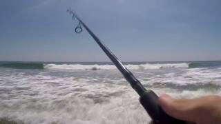 How to Catch Snapper Bluefish From the Surf on Snapper Poppers [upl. by Inva]