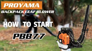 How to Start 77cc Backpack Leaf Blower Gas Powered  Proyama [upl. by Burhans]