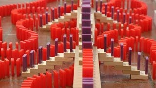 30000 Dominoes BMAC 7 [upl. by Navonod]