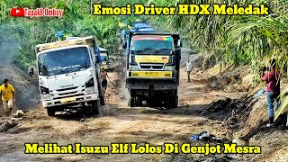 Canter HDX Disiksa Di Genjot Habishabisan Driver Makin Panas Melihat Truck Isuzu Elf Lolos [upl. by Shiller571]