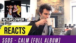 Producer Reacts to ENTIRE 5SOS Album  CALM [upl. by Nosam]