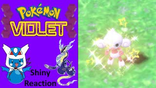 Pokemon Violet Shiny Meditite Reaction [upl. by Yim]