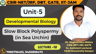 SlowBlockPolyspermy seaurchin developmentalbiology  L10 𝐆𝐞𝐧𝐞𝐬𝐢𝐬 𝐈𝐧𝐬𝐭𝐢𝐭𝐮𝐭𝐞 𝐨𝐟 𝐋𝐢𝐟𝐞 𝐒𝐜𝐢𝐞𝐧𝐜𝐞𝐬 [upl. by Darcey]