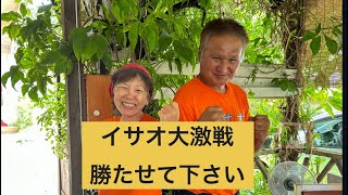 宜野湾市市長選大激戦、イサオ勝たせて下さい2024年9月7日 [upl. by Behre]