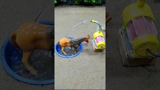 Diy mini motor water pump science project mini tractor making horse bathed video  120 [upl. by Macnair]