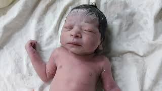 Beautiful newborn Baby is fully covered in vernix after birth [upl. by Dweck]