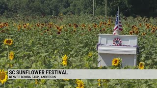 SC Sunflower Festival [upl. by Neenahs]