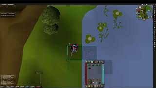 Advanced 3tick Barbarian Fishing Fishing  Dropping [upl. by Muiram576]