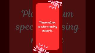 Plasmodium Species and Their Malaria Types A Quick Guide [upl. by Tory]