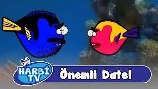 Harbi Tv  Önemli Date [upl. by Daniel]