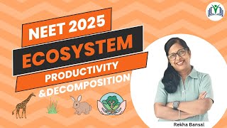 Chapter 12 Ecosystem Revision of Productivity and Decomposition in one shot [upl. by Tenenbaum]