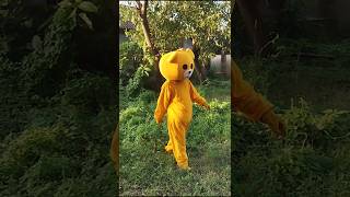 Teddy bear funny reaction video funnyteddy funny teddydear teddycomedy [upl. by Niki]