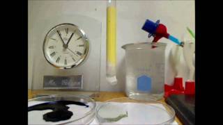 S2210 Use of paper thinlayer chromatography and column chromatography Rf values SL IB [upl. by Ylrebma78]