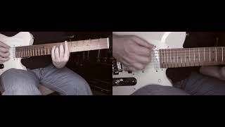 Deflu SVN guitar playthrough [upl. by Egroeg]