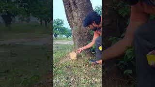 Ye to jala ke bhag gya  🤣🤣🤣🤣 funny comedy video  trending  viralvideos  SK Suraj 177 [upl. by Aihseyt]