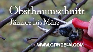 Obstbaumschnitt  Video mit Tipps [upl. by Alessig]